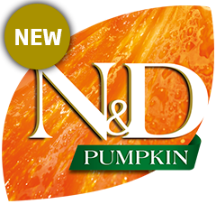 50_47_nd-pumpkin-logo-new